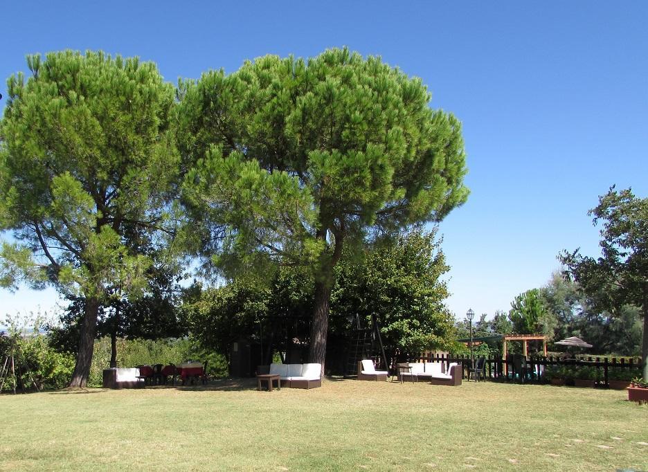 Agriturismo Ca'De'Gatti Faenza Exteriér fotografie