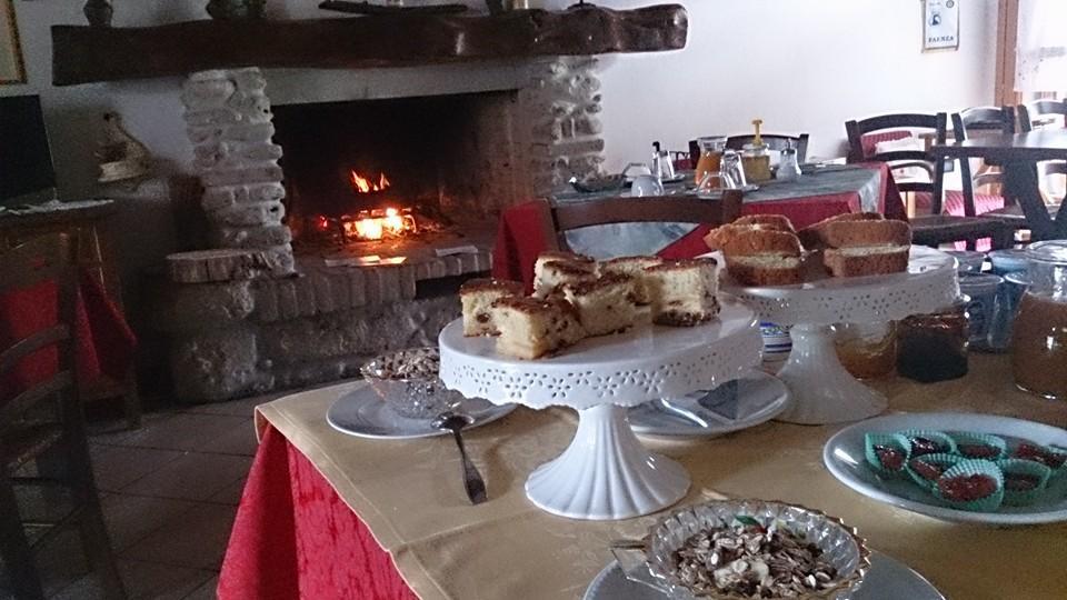 Agriturismo Ca'De'Gatti Faenza Exteriér fotografie