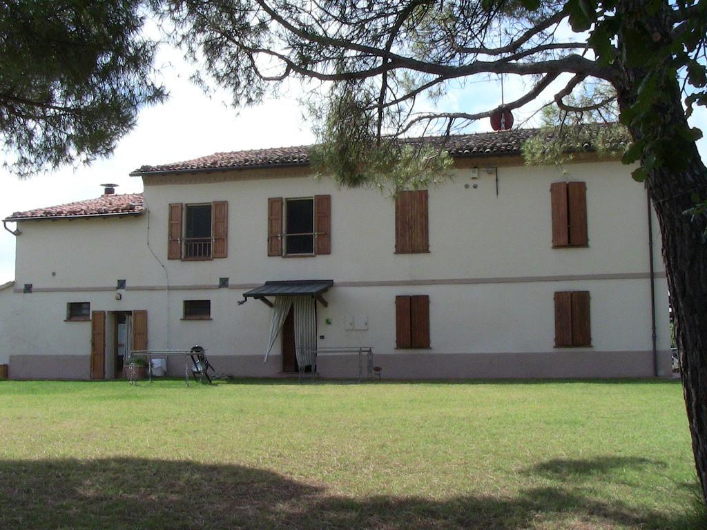 Agriturismo Ca'De'Gatti Faenza Exteriér fotografie