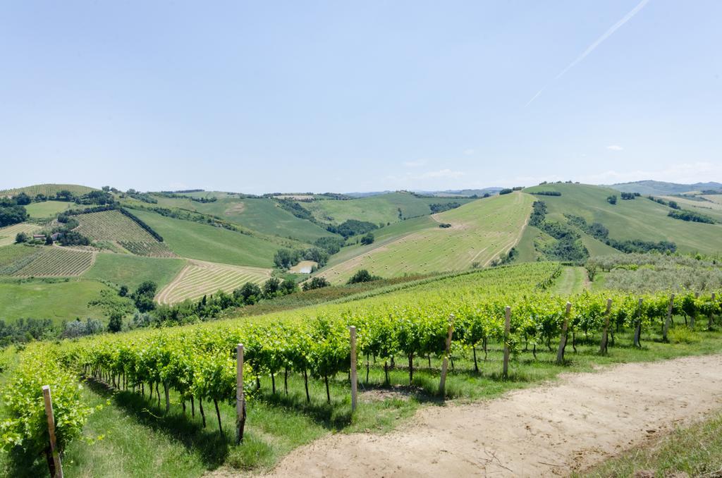 Agriturismo Ca'De'Gatti Faenza Exteriér fotografie