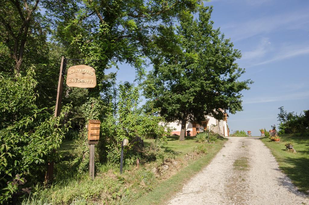 Agriturismo Ca'De'Gatti Faenza Exteriér fotografie