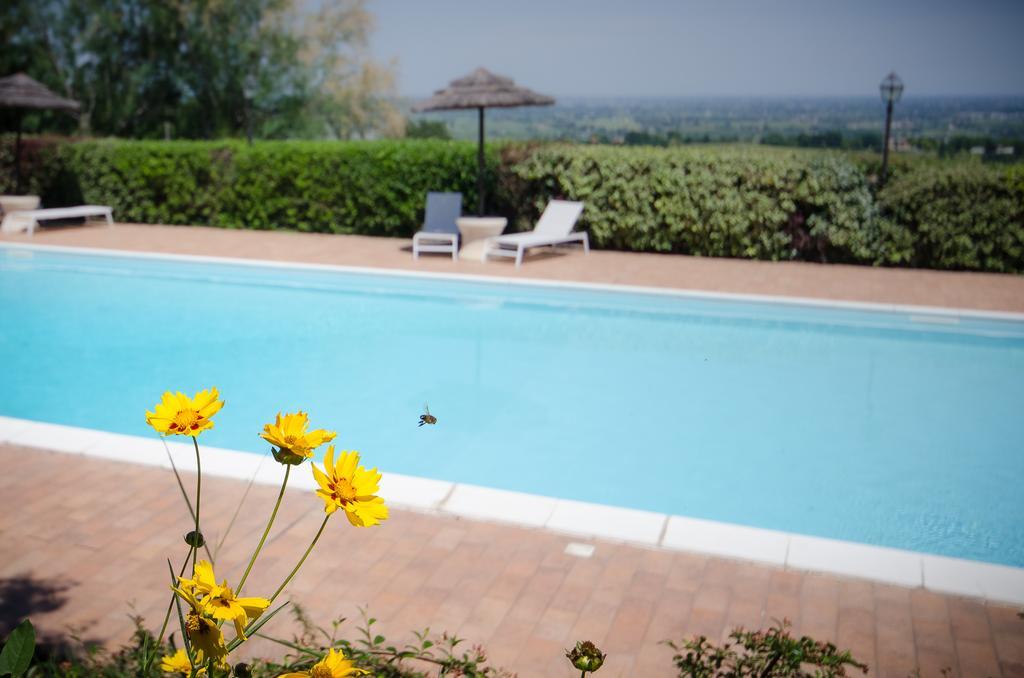 Agriturismo Ca'De'Gatti Faenza Exteriér fotografie