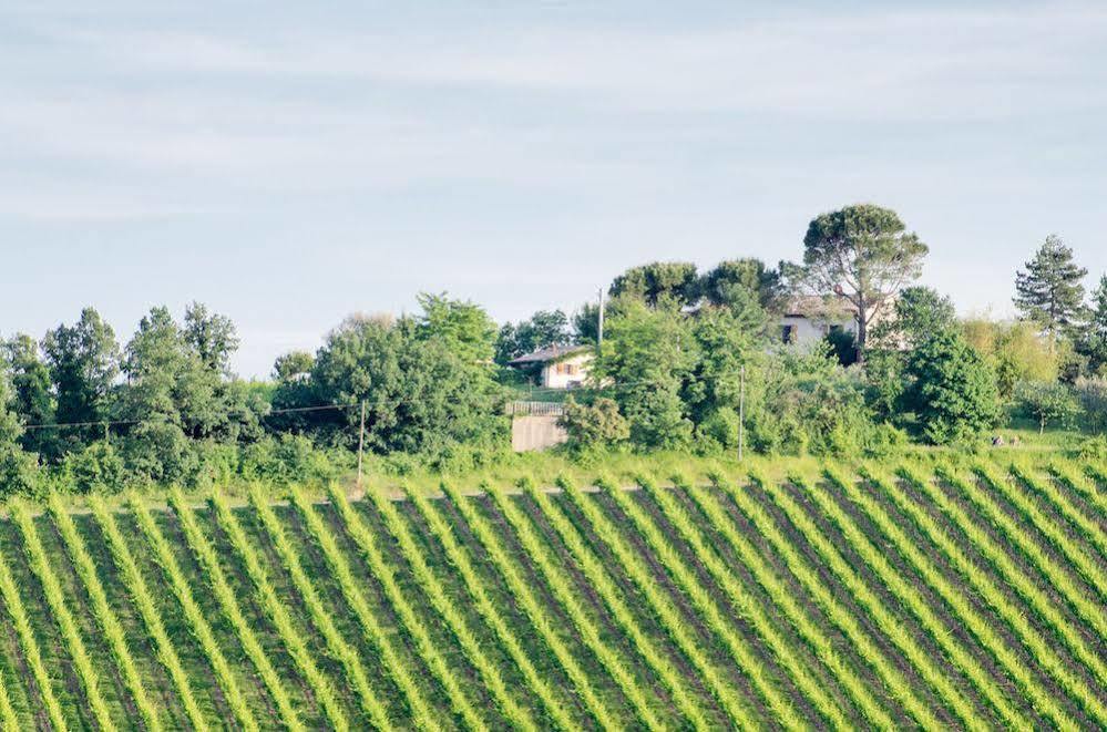 Agriturismo Ca'De'Gatti Faenza Exteriér fotografie